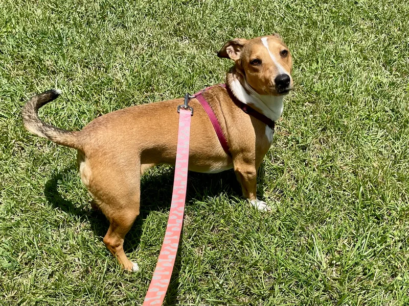 Happy In Texarkana Tx thumbnail 5