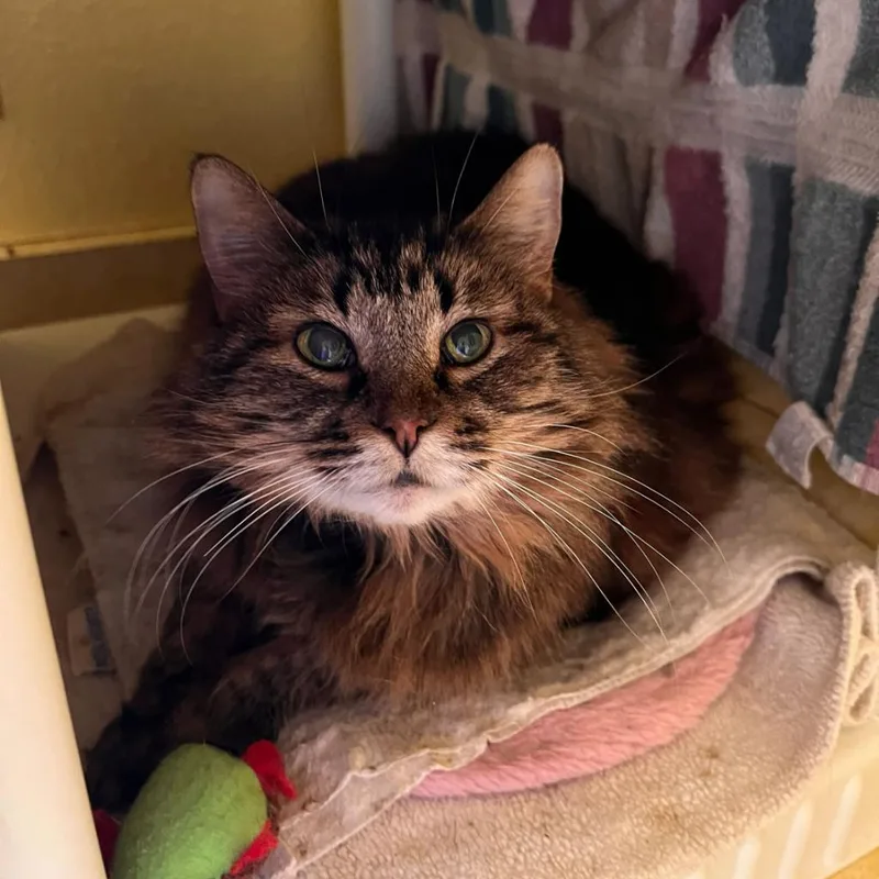 Sister Kerry thumbnail 2