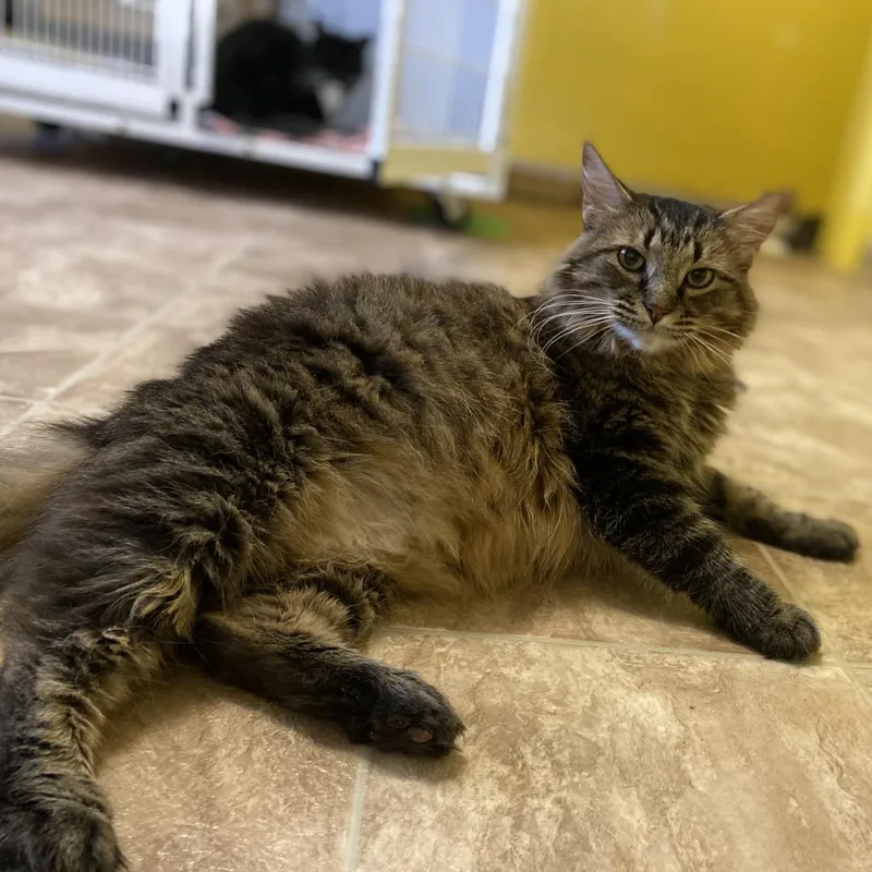 Sister Kerry thumbnail 4