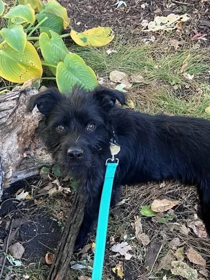 Coltrane thumbnail 2