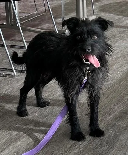 Coltrane thumbnail 4