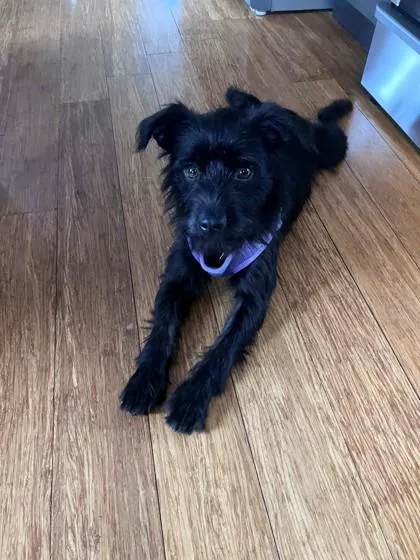 Coltrane thumbnail 5