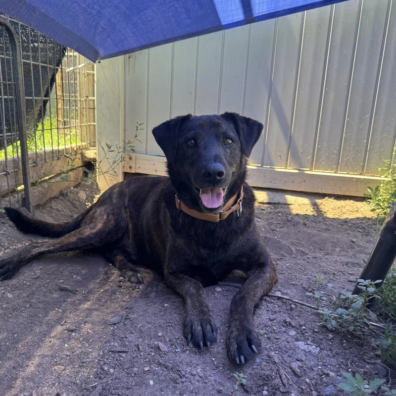 Axel thumbnail 4