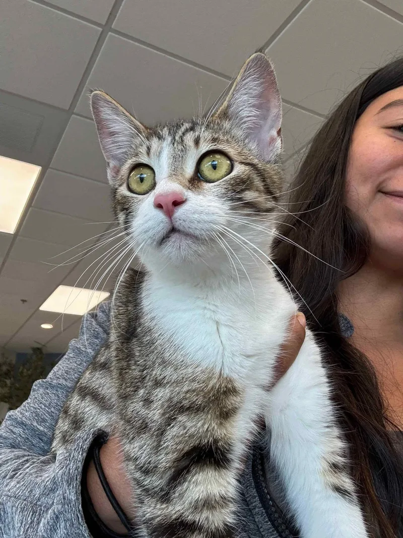 Delphine thumbnail 2