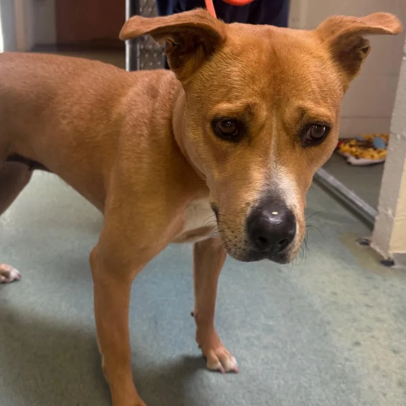 Naisha thumbnail 2