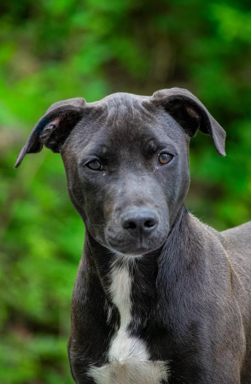 Mitchell thumbnail 3