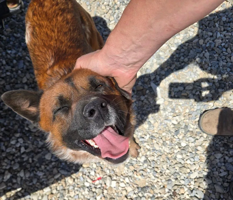 Hemsworth thumbnail 2