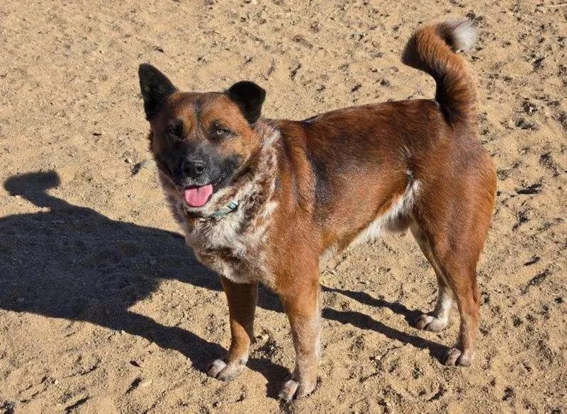 Hemsworth thumbnail 3