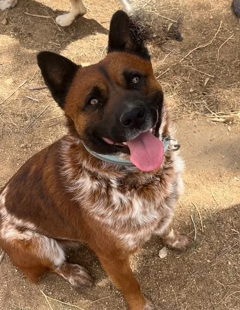 Hemsworth thumbnail 4