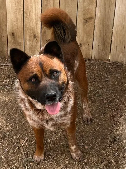 Hemsworth thumbnail 5