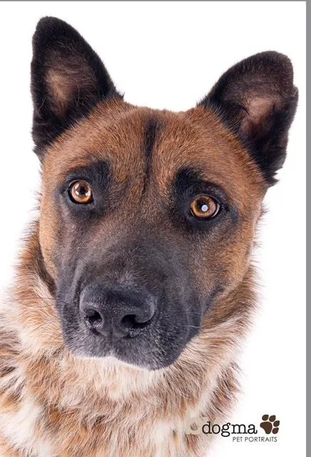 Hemsworth thumbnail 6