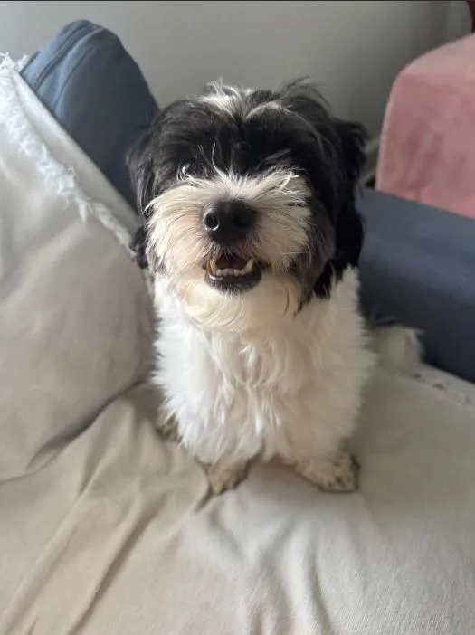 Max in RI thumbnail 2