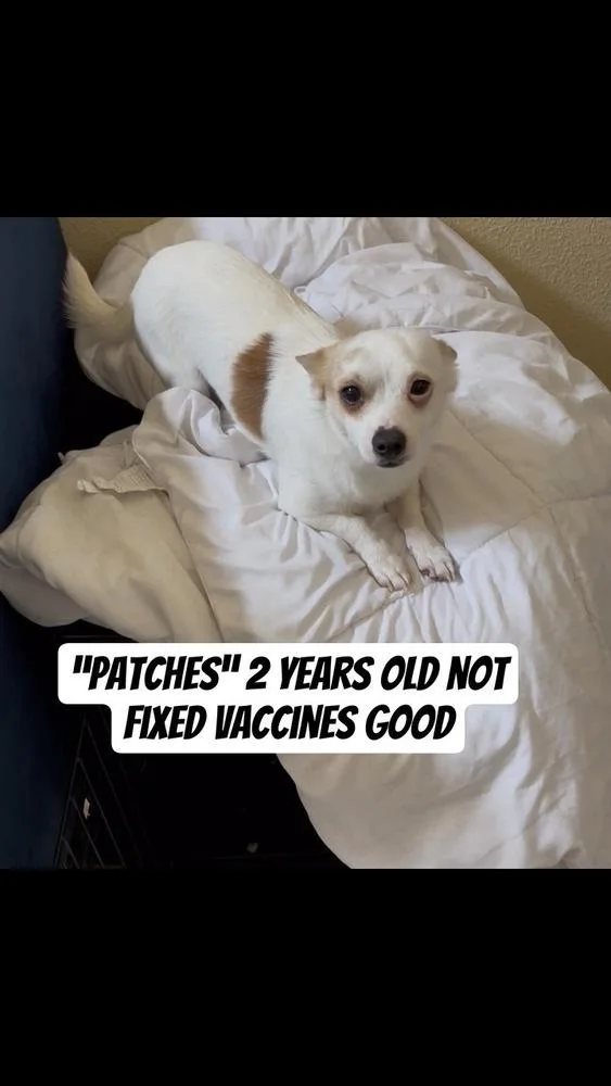 Patches