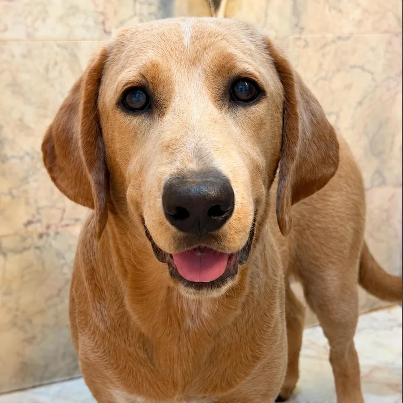 Tucker thumbnail 3