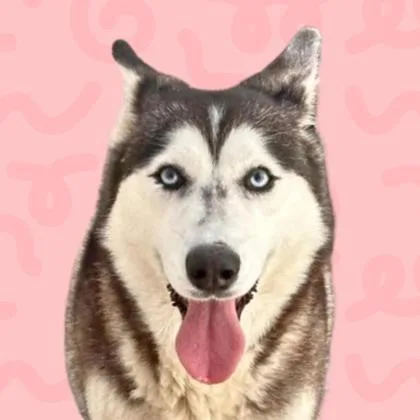 Tizie