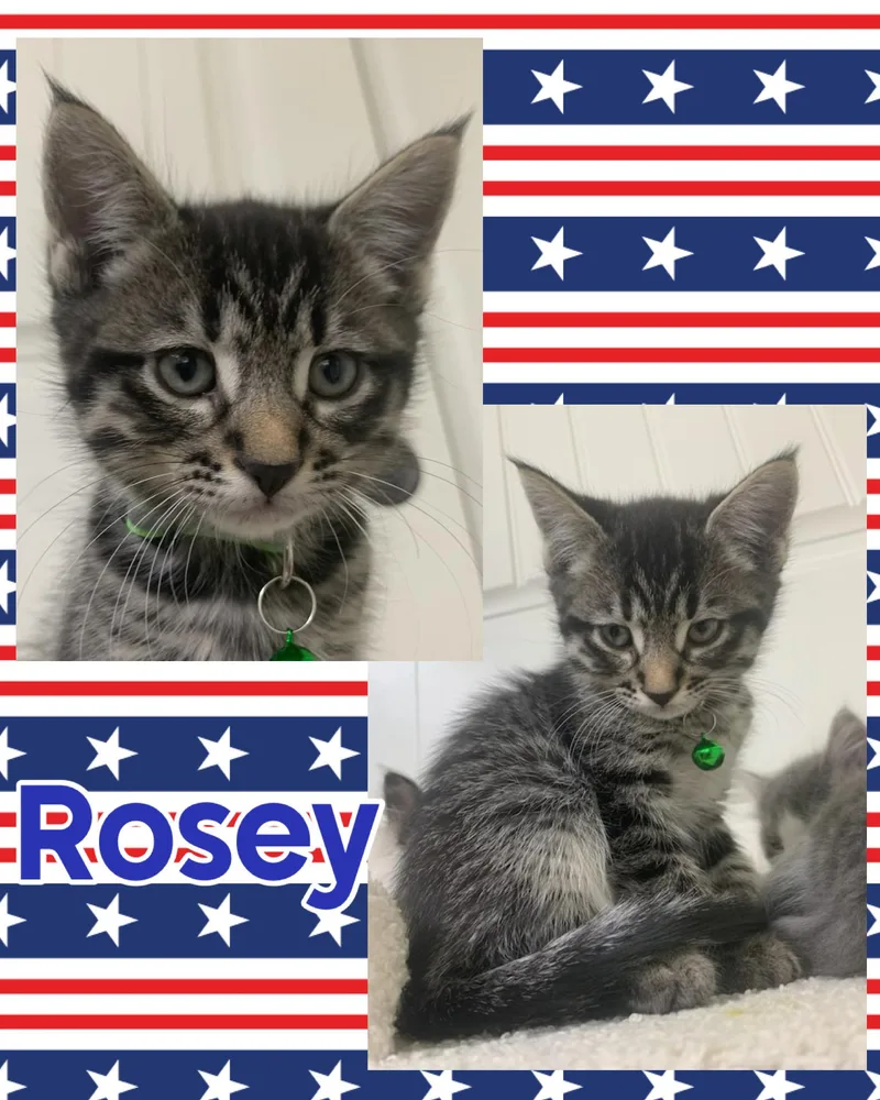 Rosey