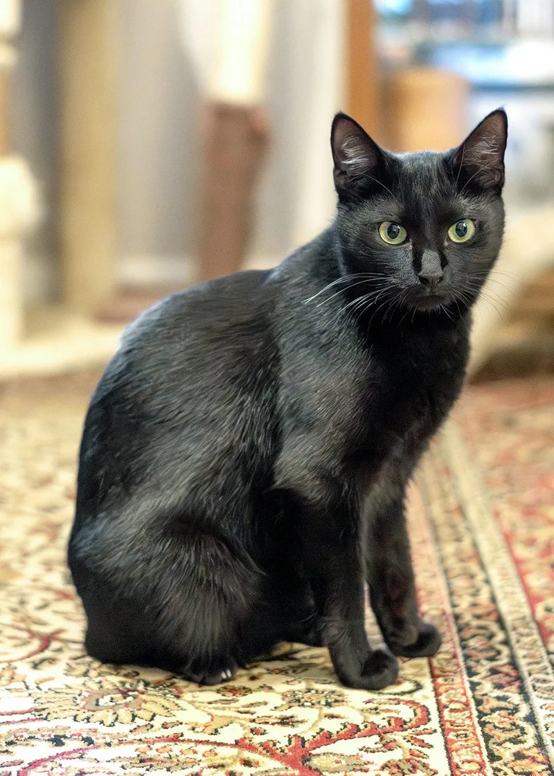 Friendly thumbnail 2