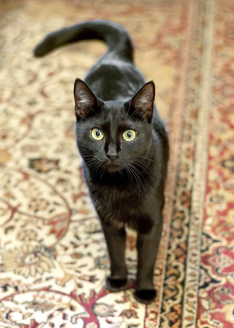 Friendly thumbnail 3