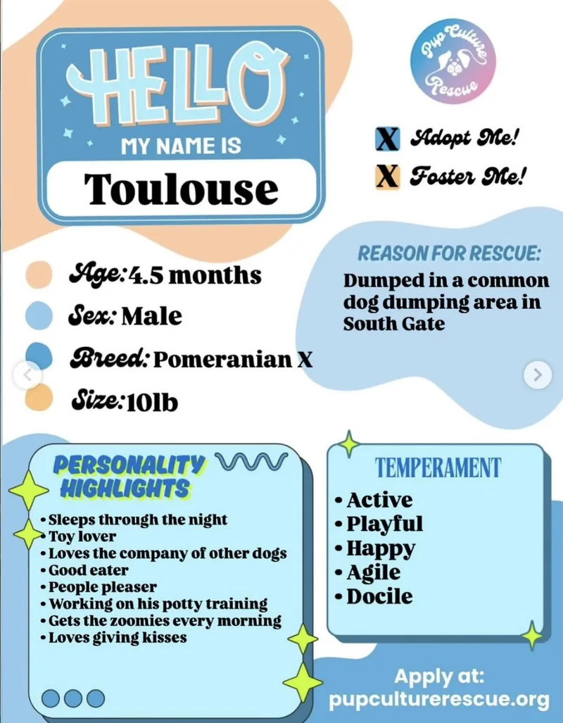 Toulouse thumbnail 4
