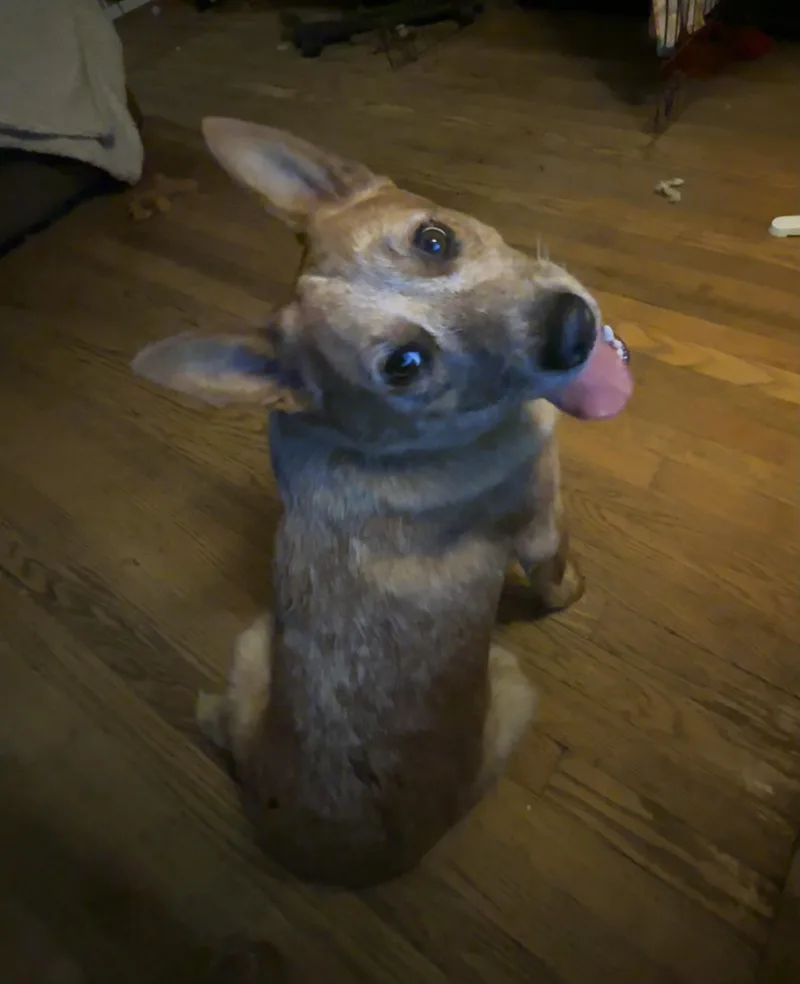 Asher thumbnail 2