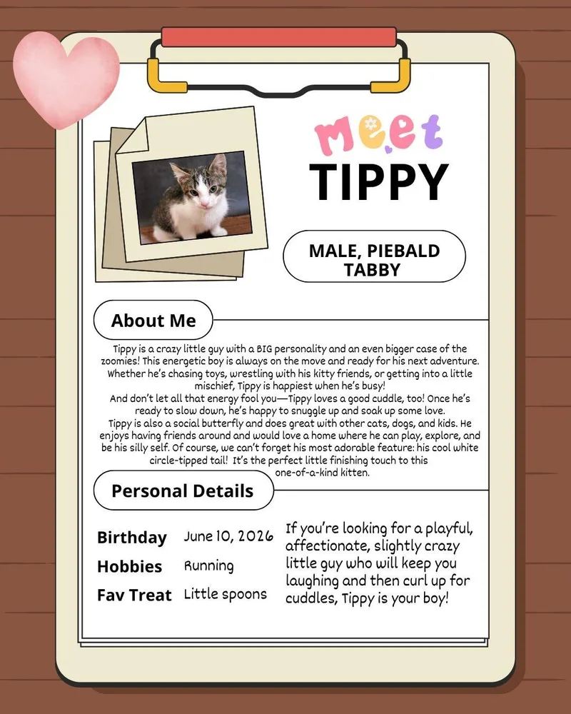 Tippy thumbnail 4