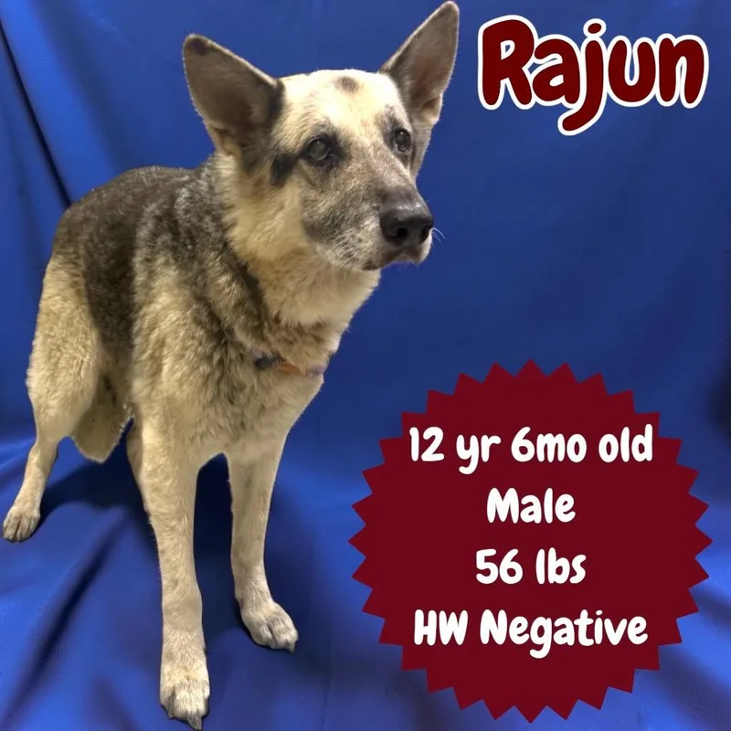 Rajun thumbnail 2