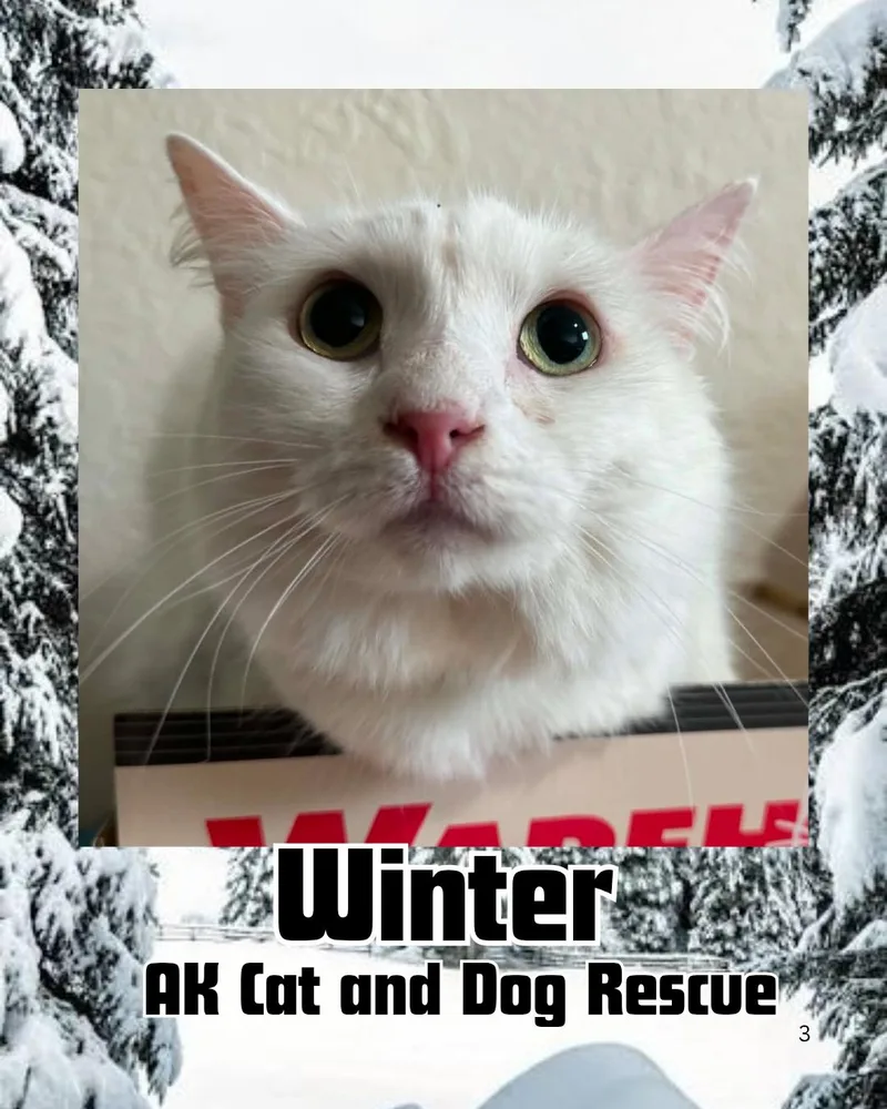 Winter