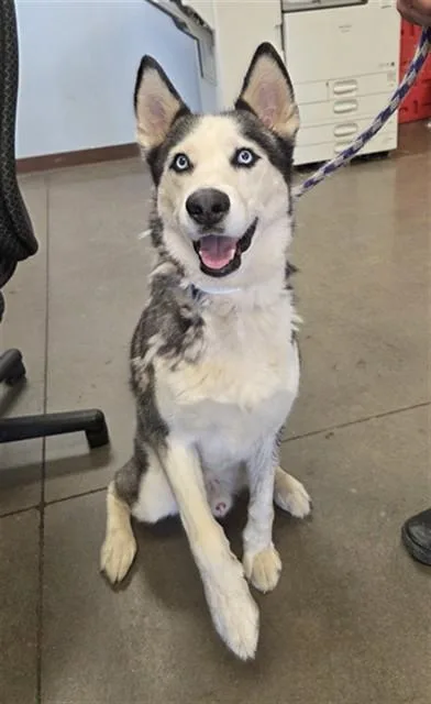 Jax