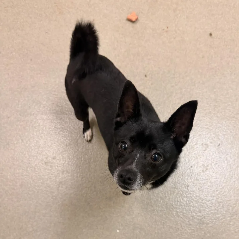 Nacho Libre thumbnail 2