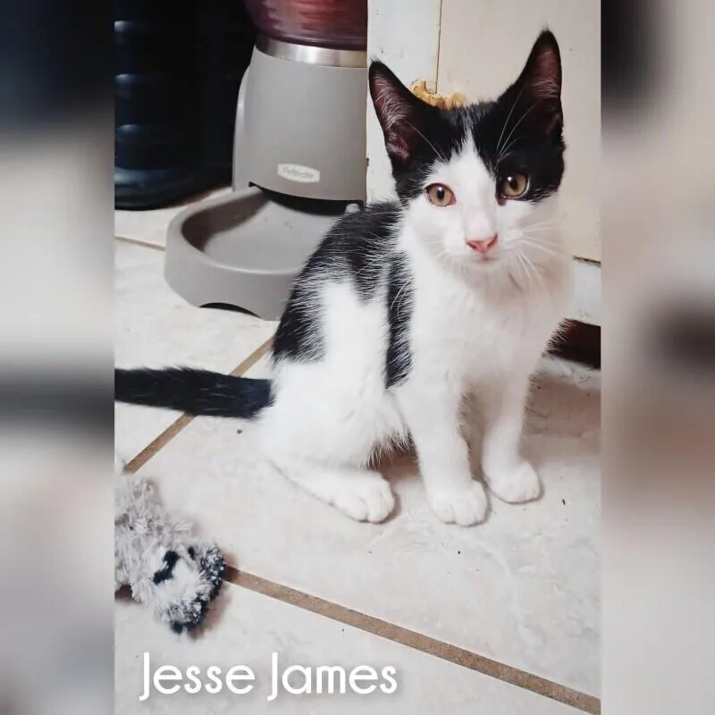Jesse James thumbnail 2