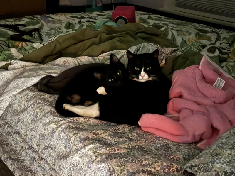 Charlie & Annie thumbnail 2