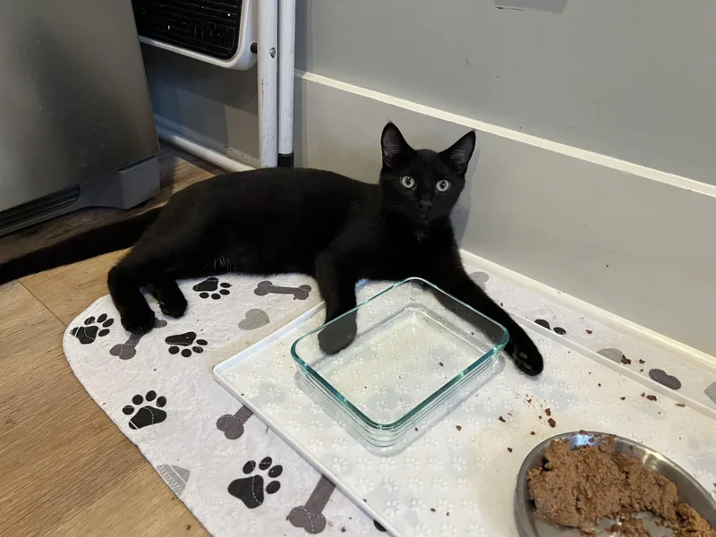 Charlie & Annie thumbnail 3