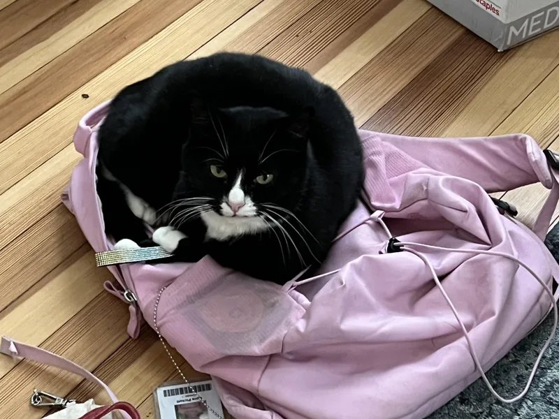 Charlie & Annie thumbnail 5