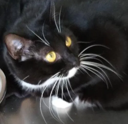 Genny  Center thumbnail 2