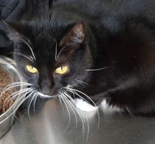 Genny  Center thumbnail 3