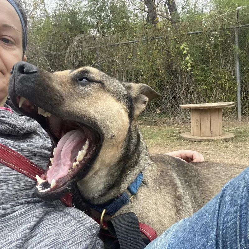 Buck Rogers thumbnail 2