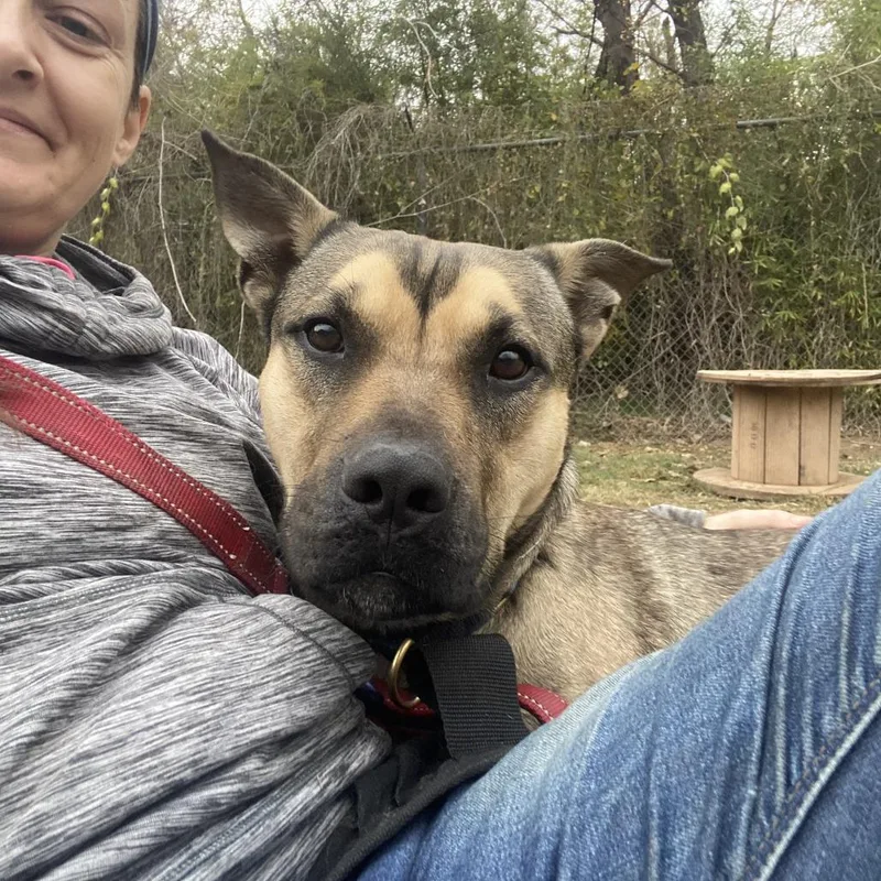 Buck Rogers thumbnail 4