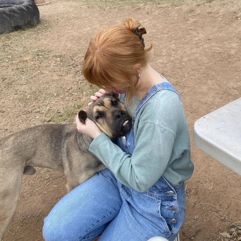 Buck Rogers thumbnail 5