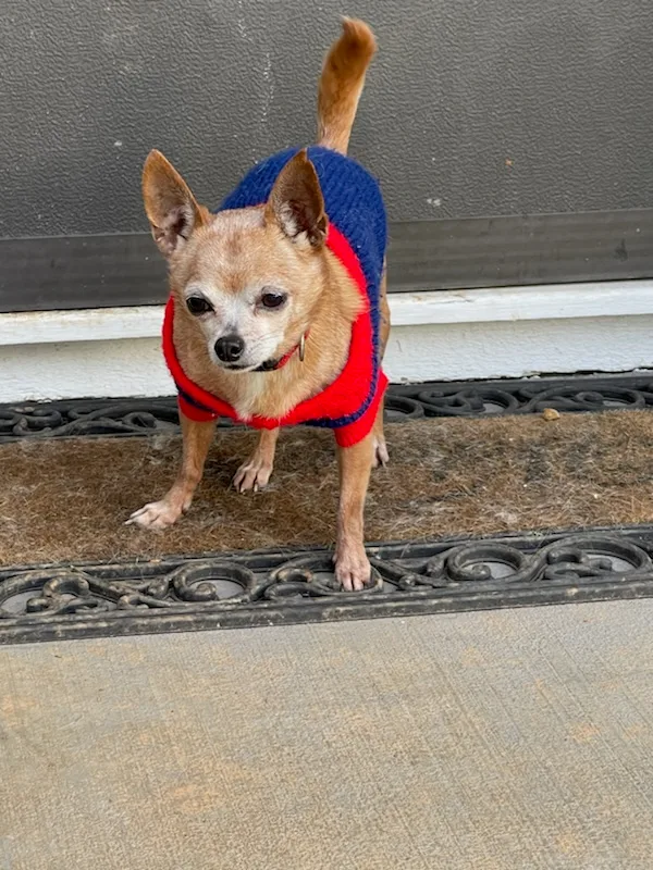 Denzel And Cameron Bonded thumbnail 2