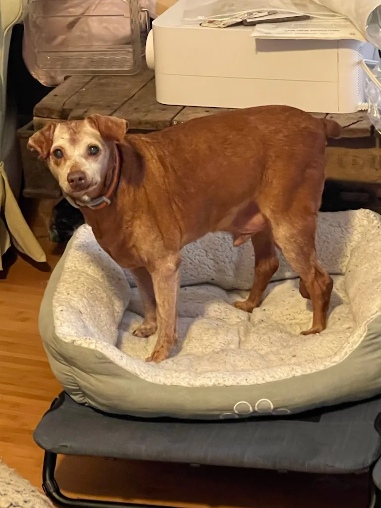 Denzel And Cameron Bonded thumbnail 5