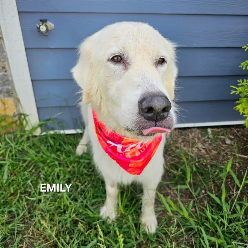 Emily