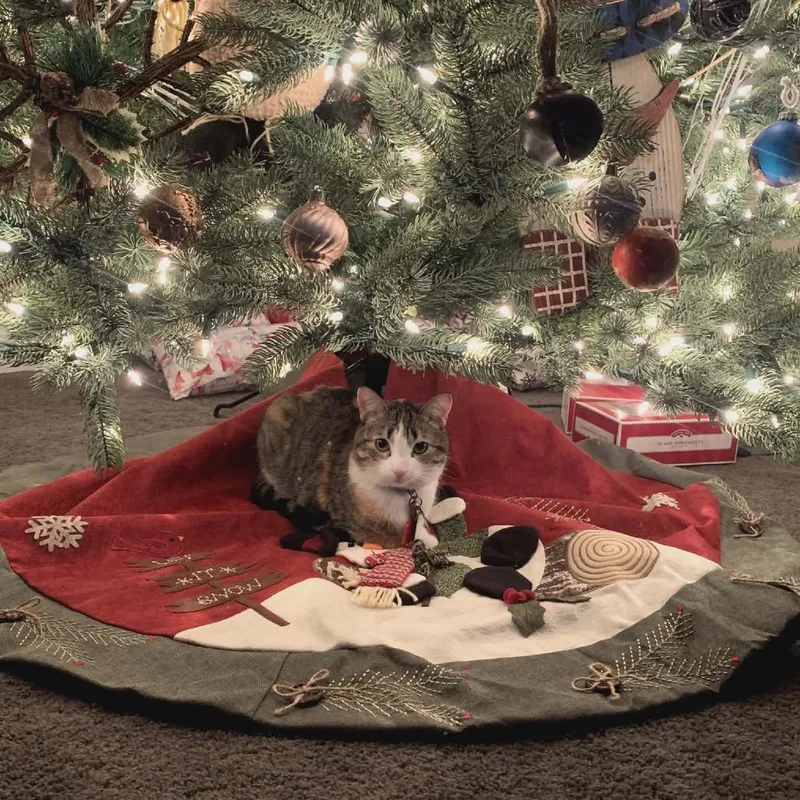 Patches Knight thumbnail 2