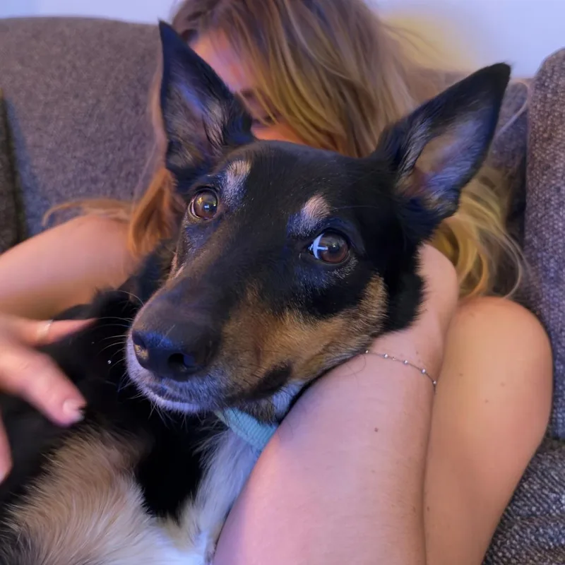 Sophie thumbnail 3