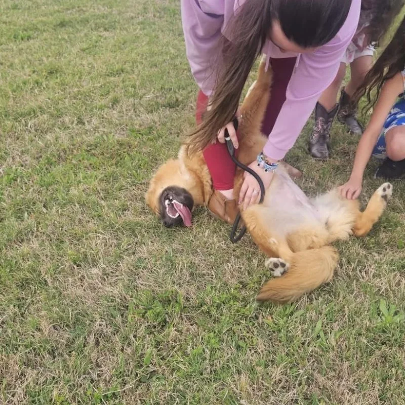 Roxy thumbnail 5