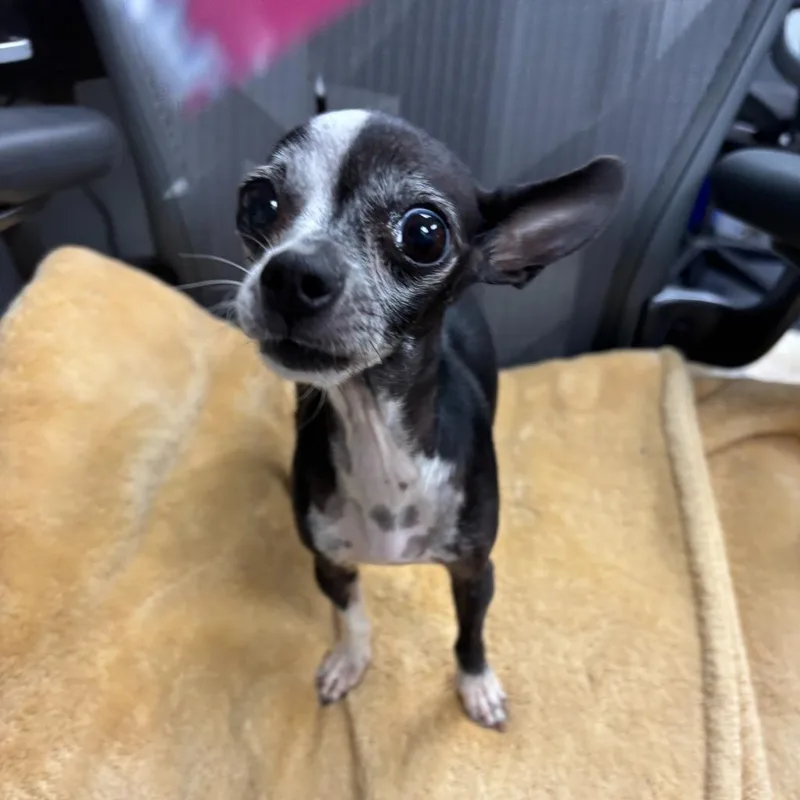 Nancy thumbnail 3