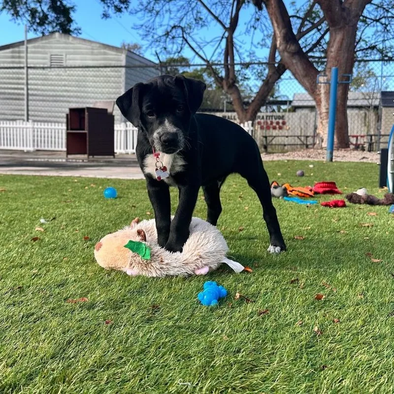 O'malley thumbnail 3