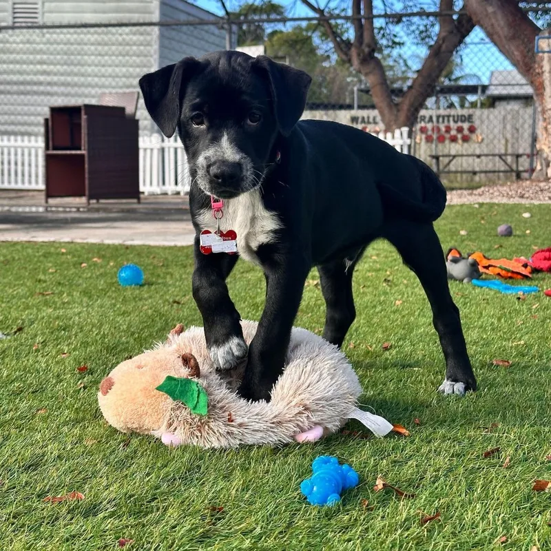 O'malley thumbnail 4