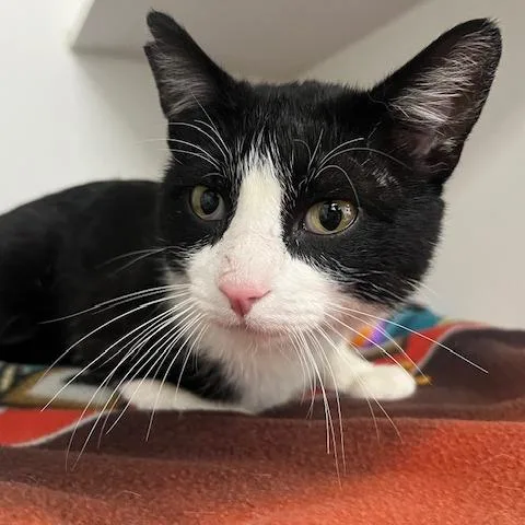 Snoop Daugg thumbnail 3