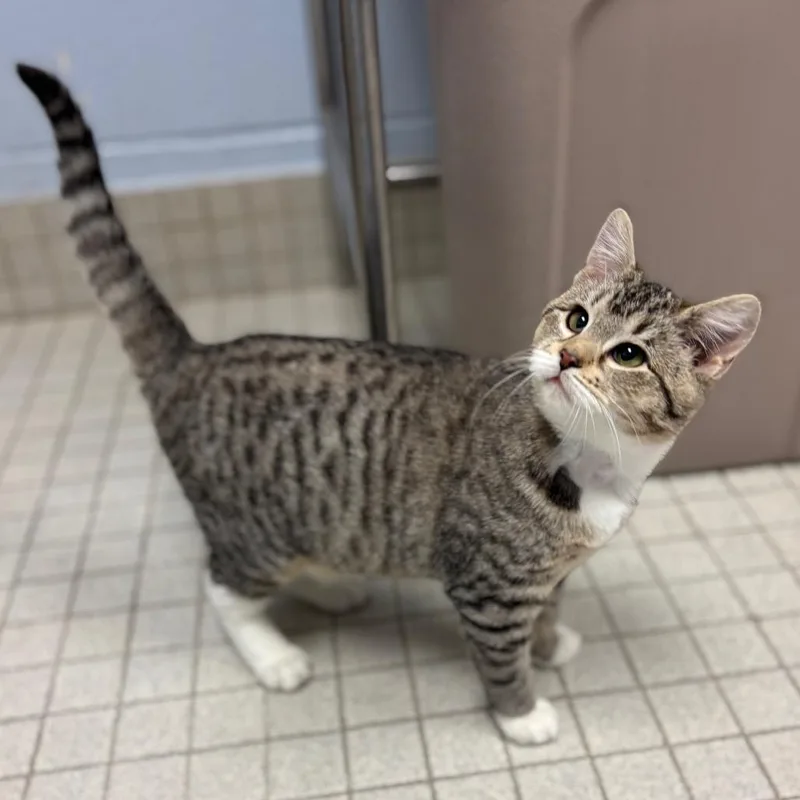 Jackey Luna thumbnail 5