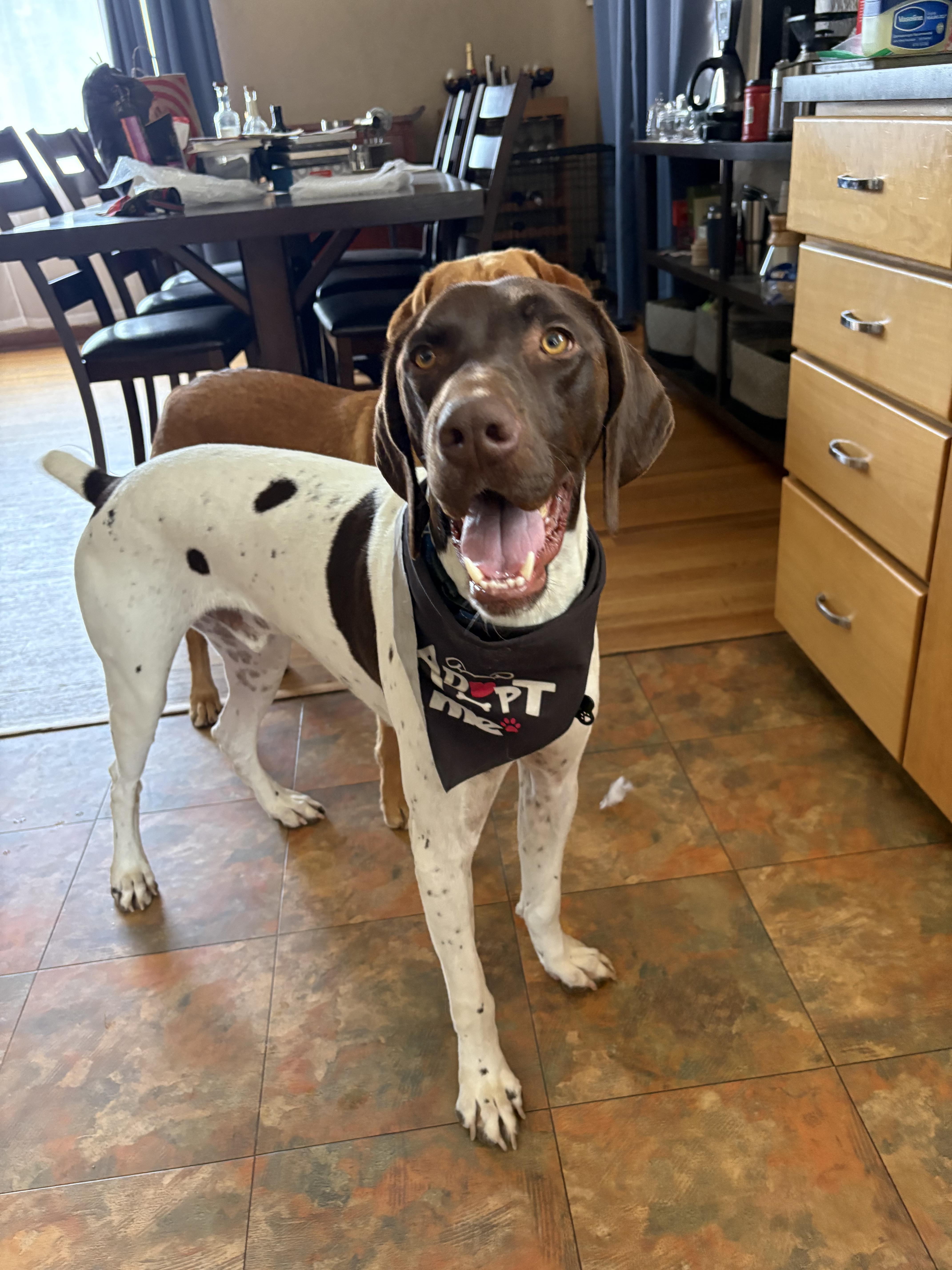 Duke